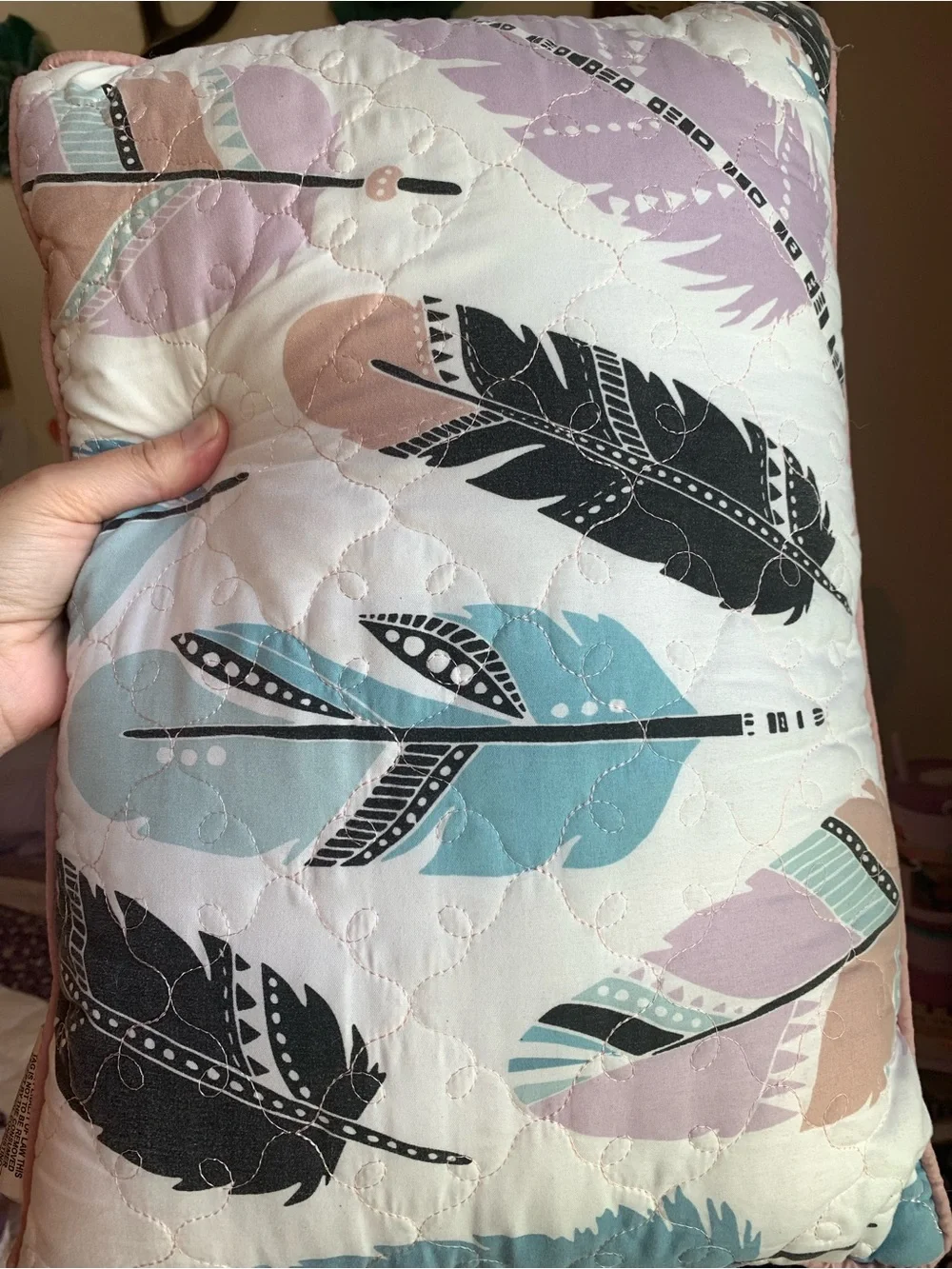 Dreamcatcher & Feather Decorative Throw Pillow - set of 2-Pink, Teal, Black